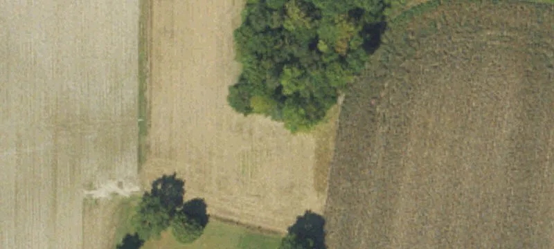 Harrell Rd