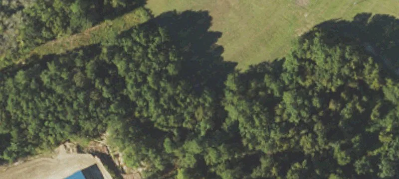 107 Lynwood Norris Rd Near