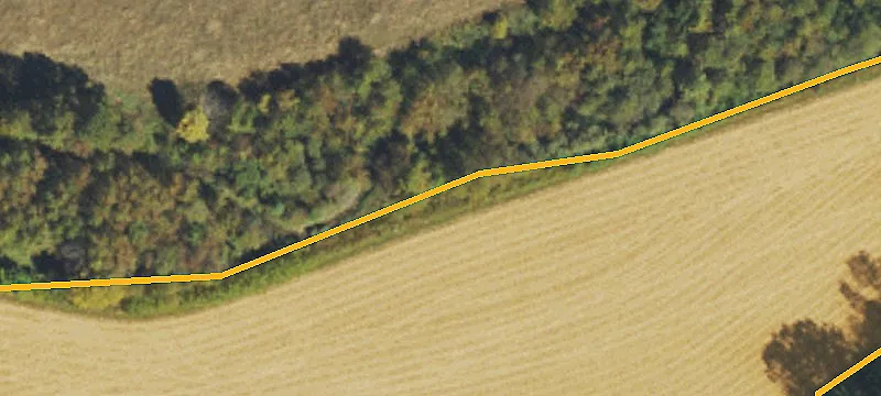 Us Hwy 19