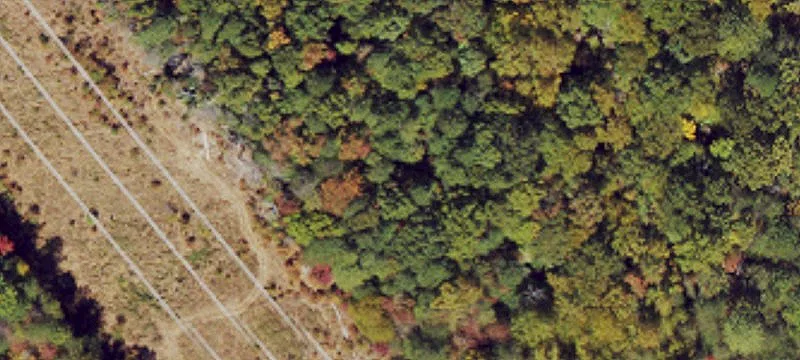 Lyons Rd