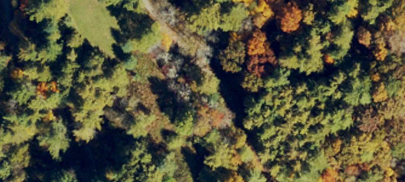26 Evergreen Mtn