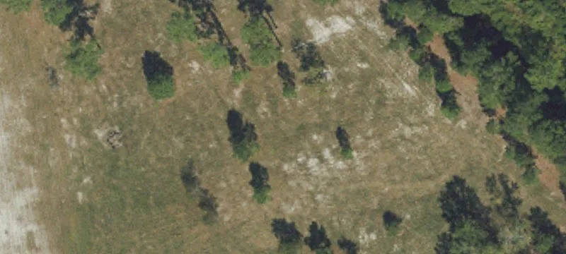 Belhaven, NC 27810