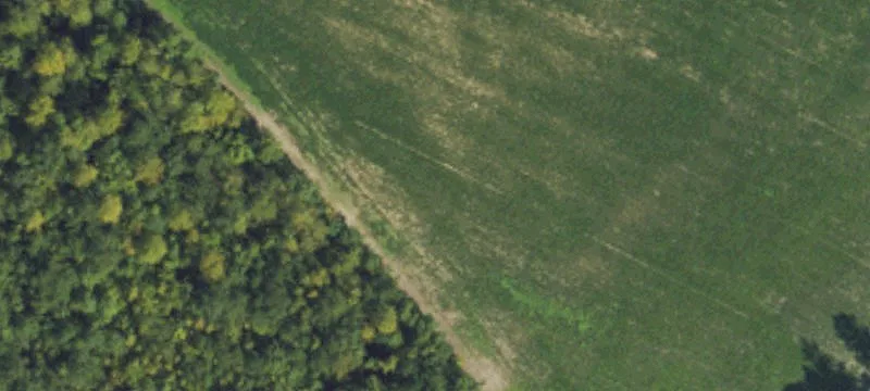418 Mt Olive Rd