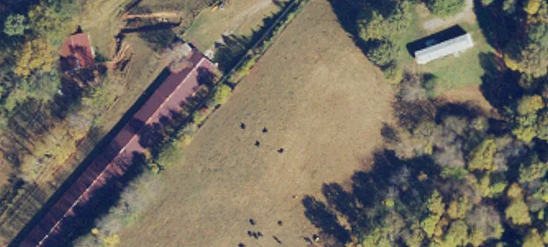 320 Davis Memorial Church Rd