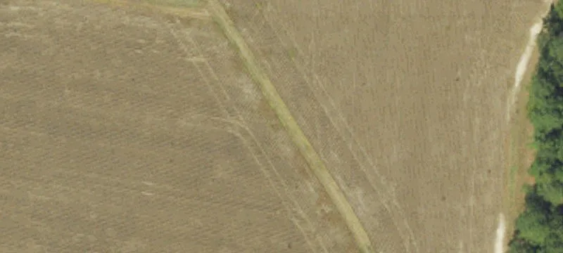 Rich Square, NC 27869