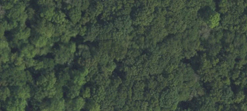 4265 Ft Run Rd