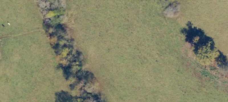 Congo Rd