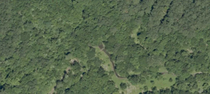 241 Cale Rd