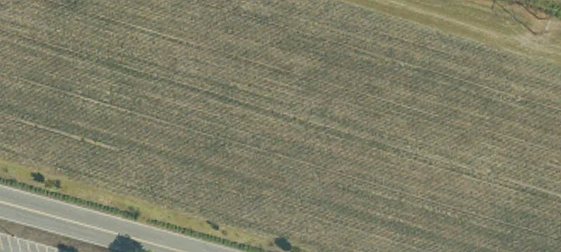 Us Hwy 17