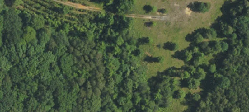 Clayola Dr