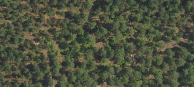 Cagle Rd