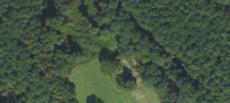 13431 Us Hwy 264