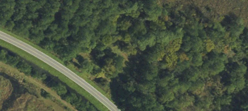 480 Loop Rd