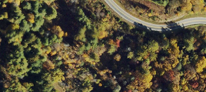 County Line Rd