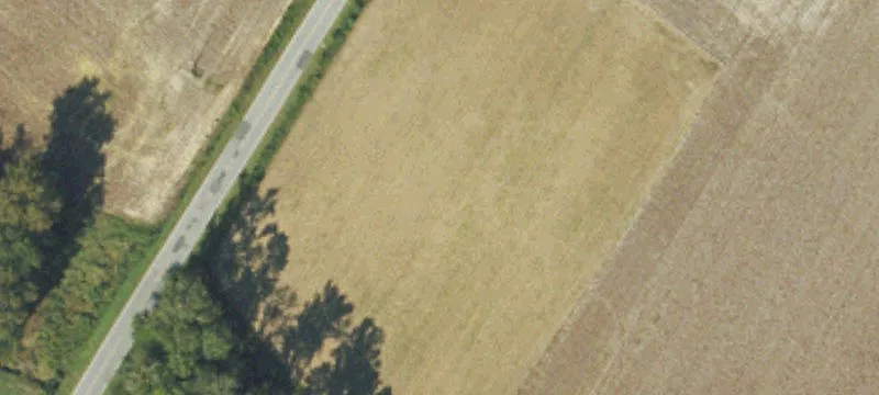 David Brown Rd