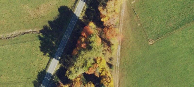 Carolina Hwy, Unit 113