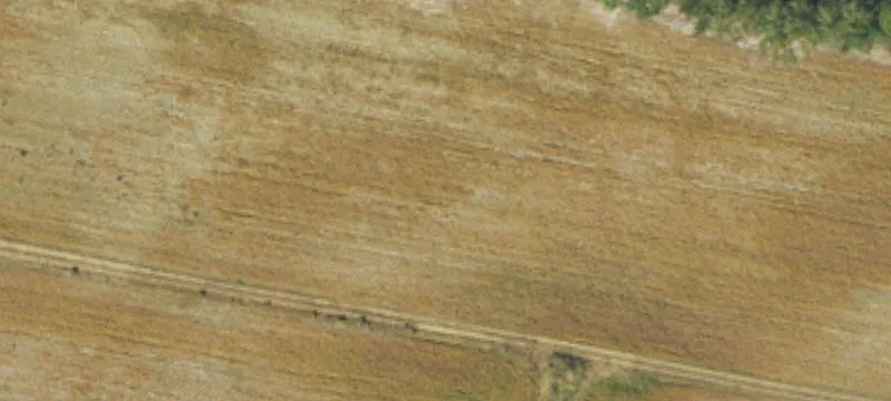 Robersonville, NC 27871