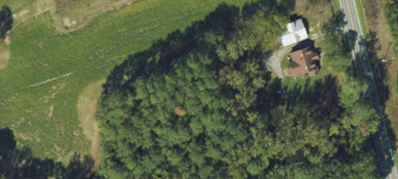 Rich Square, NC 27869