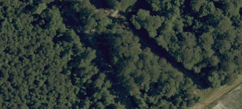 342 Water Swamp Rd