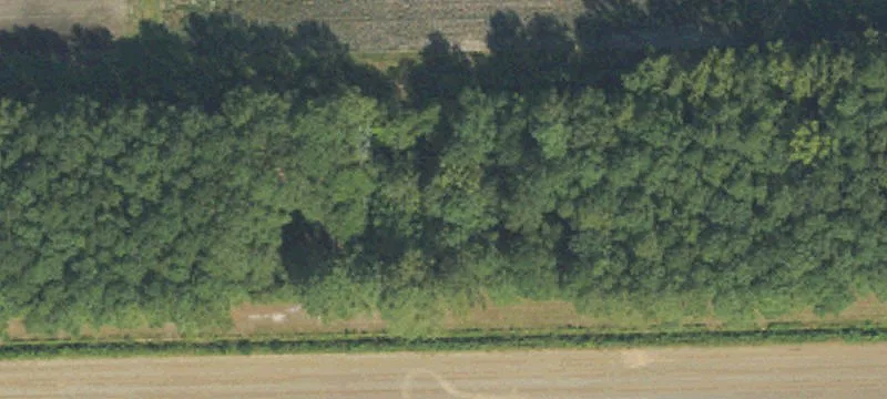 3201 Robersonville Products Rd