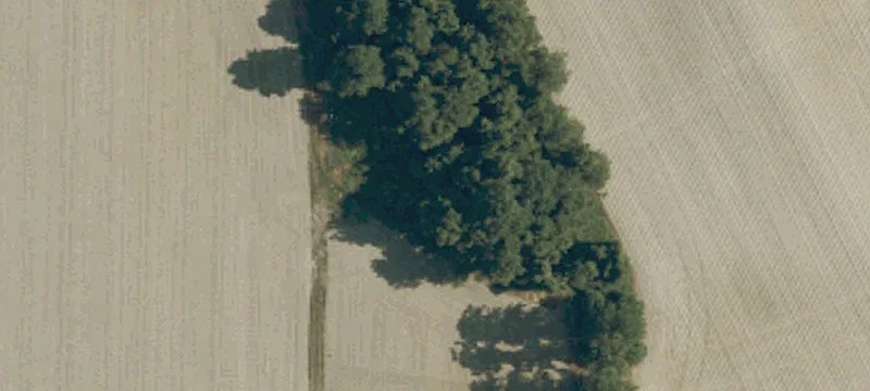 Carter Rd