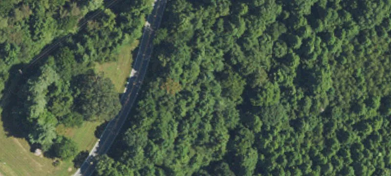 Piney Grv Church Rd