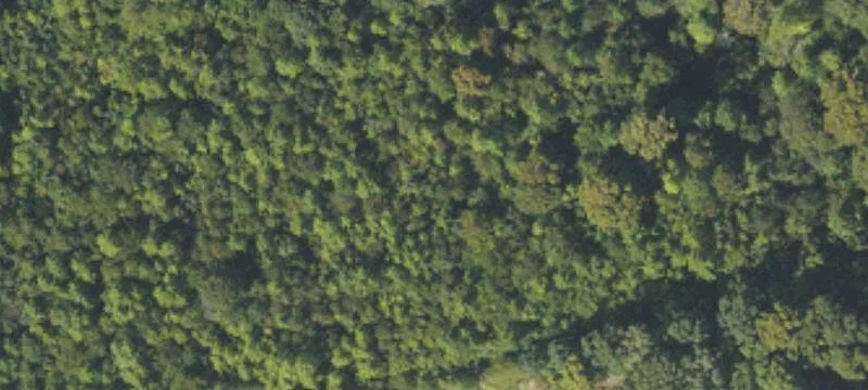 Charlotte Hwy
