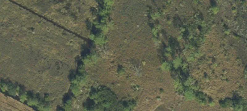 Shaw Rd