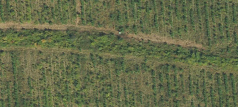 603rd Buck Br Rd