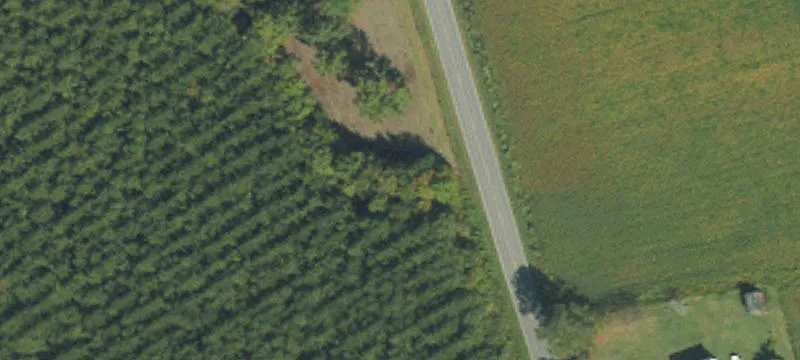 Bailey Rd