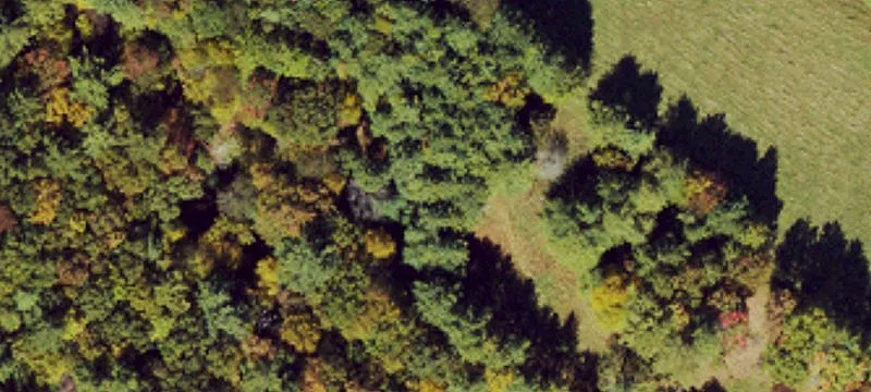 128 Sadys Walk Way