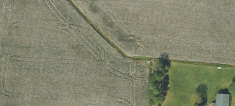 Jenkins Rd