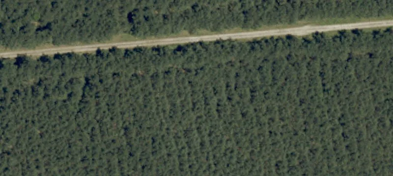 444 Jeff White Rd