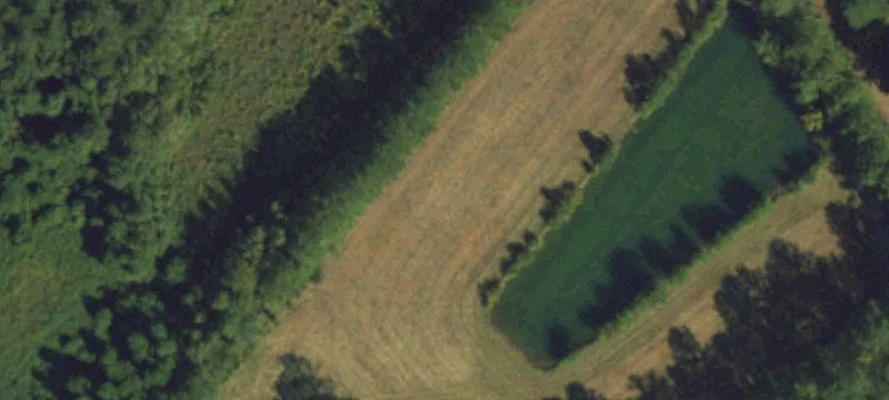 Belhaven, NC 27810