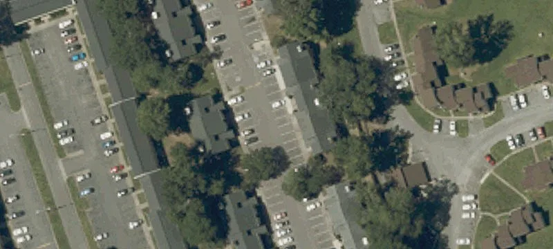 Walker Ave