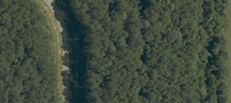 221 Windlass Loop