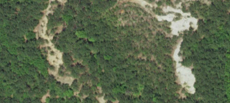 Carolina Dr