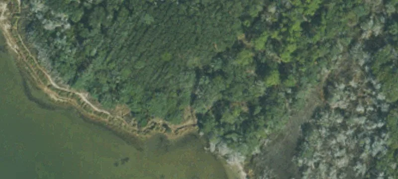 Loop Rd