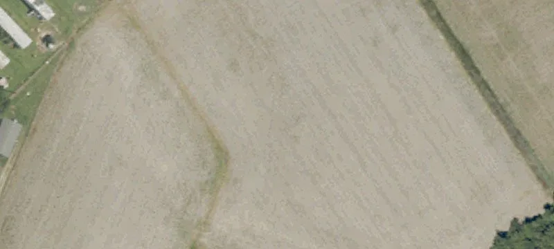 Wynne Frk Rd
