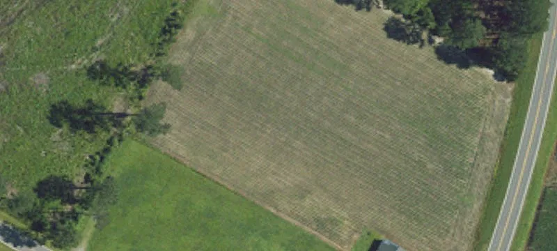 2541 Us Hwy 13th N