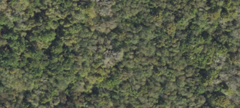 658 Main St