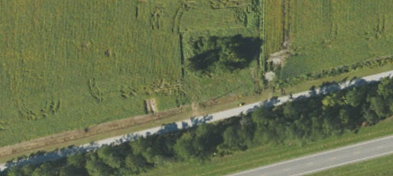 179 Black Cherry Rd