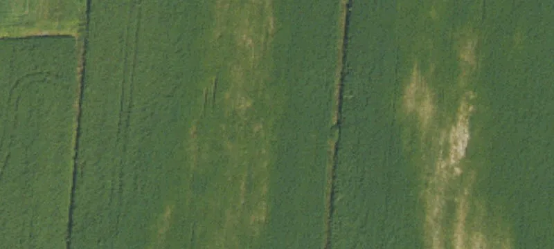 1313 Lilly Pad Rd