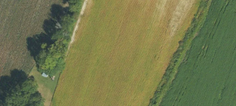 Dan Peele Rd