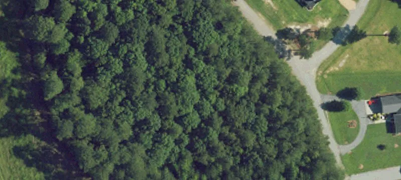 Ws White Oak Dr
