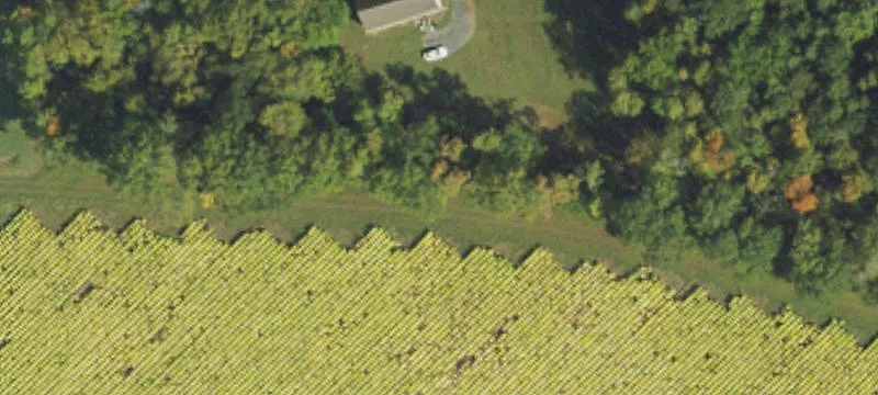 440 Woodrow School Rd