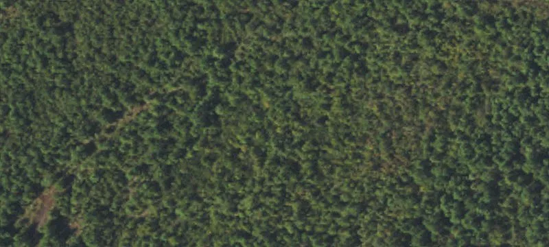 723 Pne Log Rd