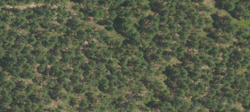 Nc Hwy 211th E