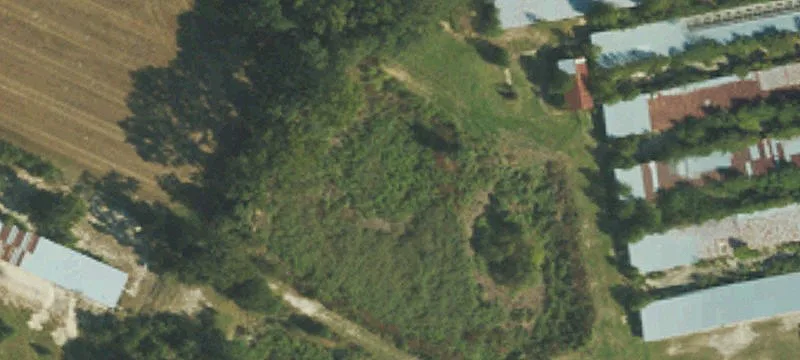 807 Ormondsville Rd