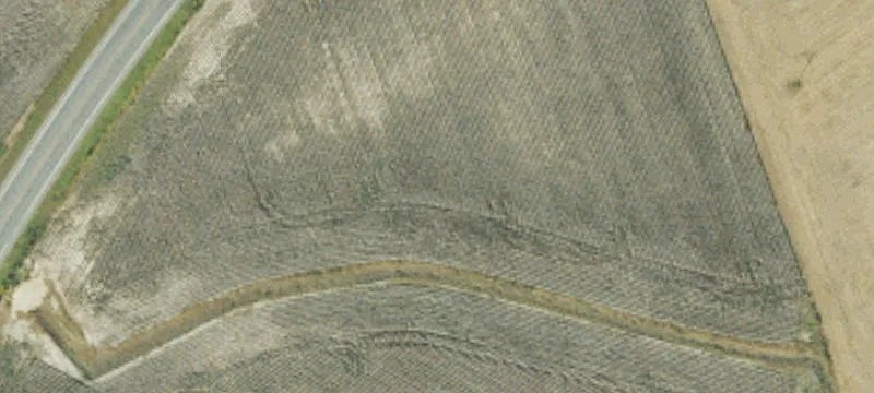 7851 Nc 11